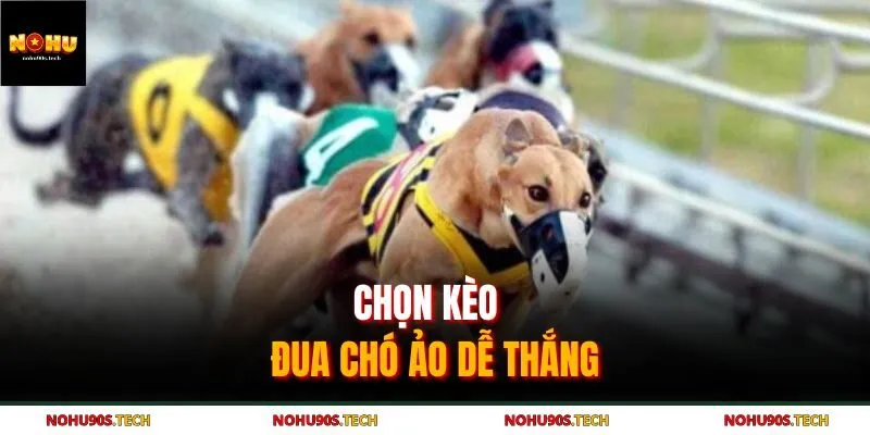 Chọn kèo đua chó ảo dễ thắng